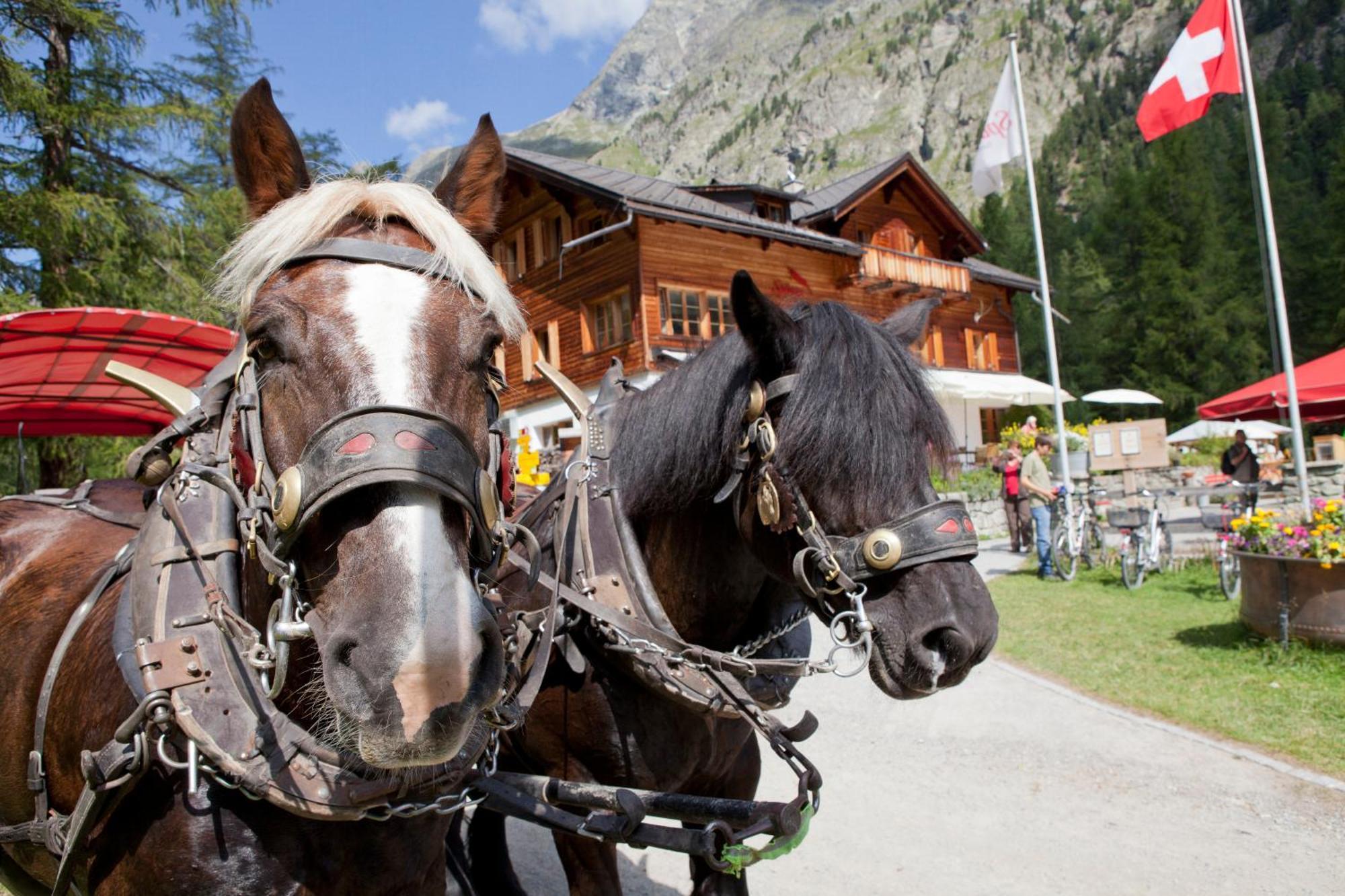 Gasthaus Spinas Bever Exterior foto